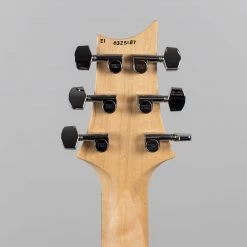 Paul Reed Smith CE 24 In Eriza Verde Electric Guitars