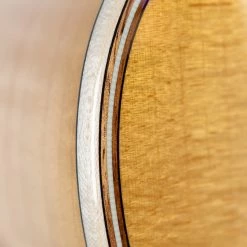 Acoustic Guitars Taylor GT611e LTD Grand Theater (1201192058)