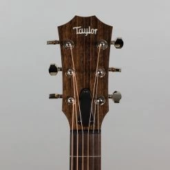 Taylor GTe Grand Theater Urban Ash Acoustic/Electric Guitar Acoustic Guitars