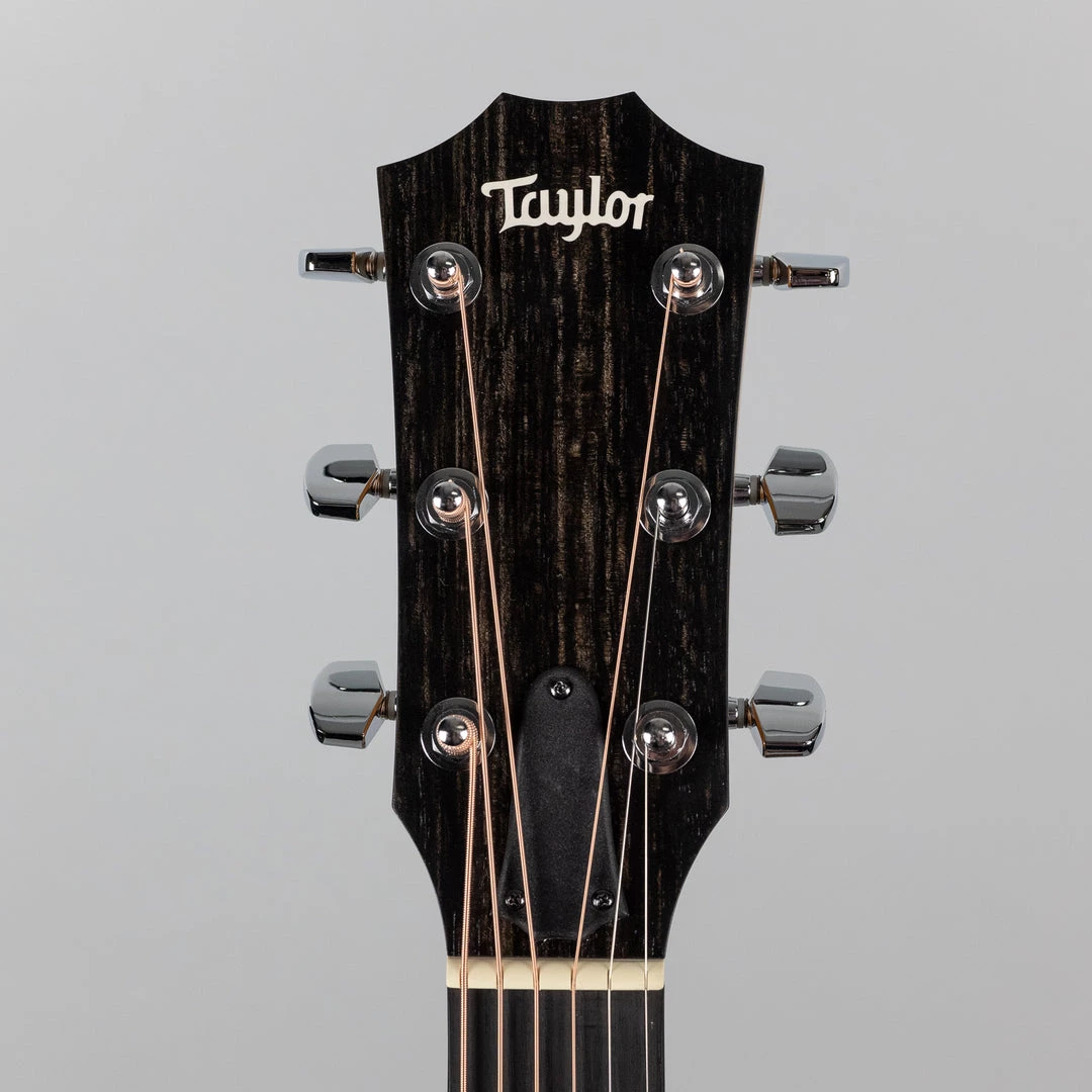 Acoustic Guitars Taylor 114ce Acoustic/Electric Guitar (2203112071) 10 Acoustic Guitars Taylor 114ce Acoustic/Electric Guitar (2203112071)