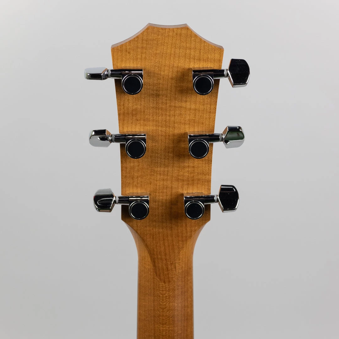 Acoustic Guitars Taylor 110e Acoustic/Electric Guitar (2203122008) 12 Acoustic Guitars Taylor 110e Acoustic/Electric Guitar (2203122008)