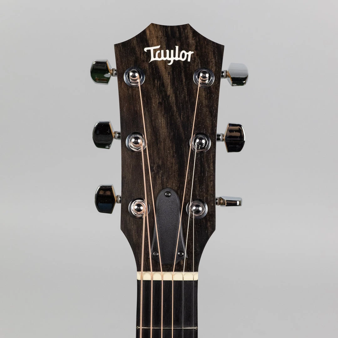 Acoustic Guitars Taylor 214ce-K Acoustic/Electric Guitar (2203152072) 10 Acoustic Guitars Taylor 214ce-K Acoustic/Electric Guitar (2203152072)