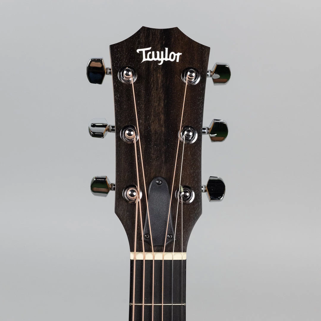 Acoustic Guitars Taylor 110e Acoustic/Electric Guitar (2203182020) 11 Acoustic Guitars Taylor 110e Acoustic/Electric Guitar (2203182020)
