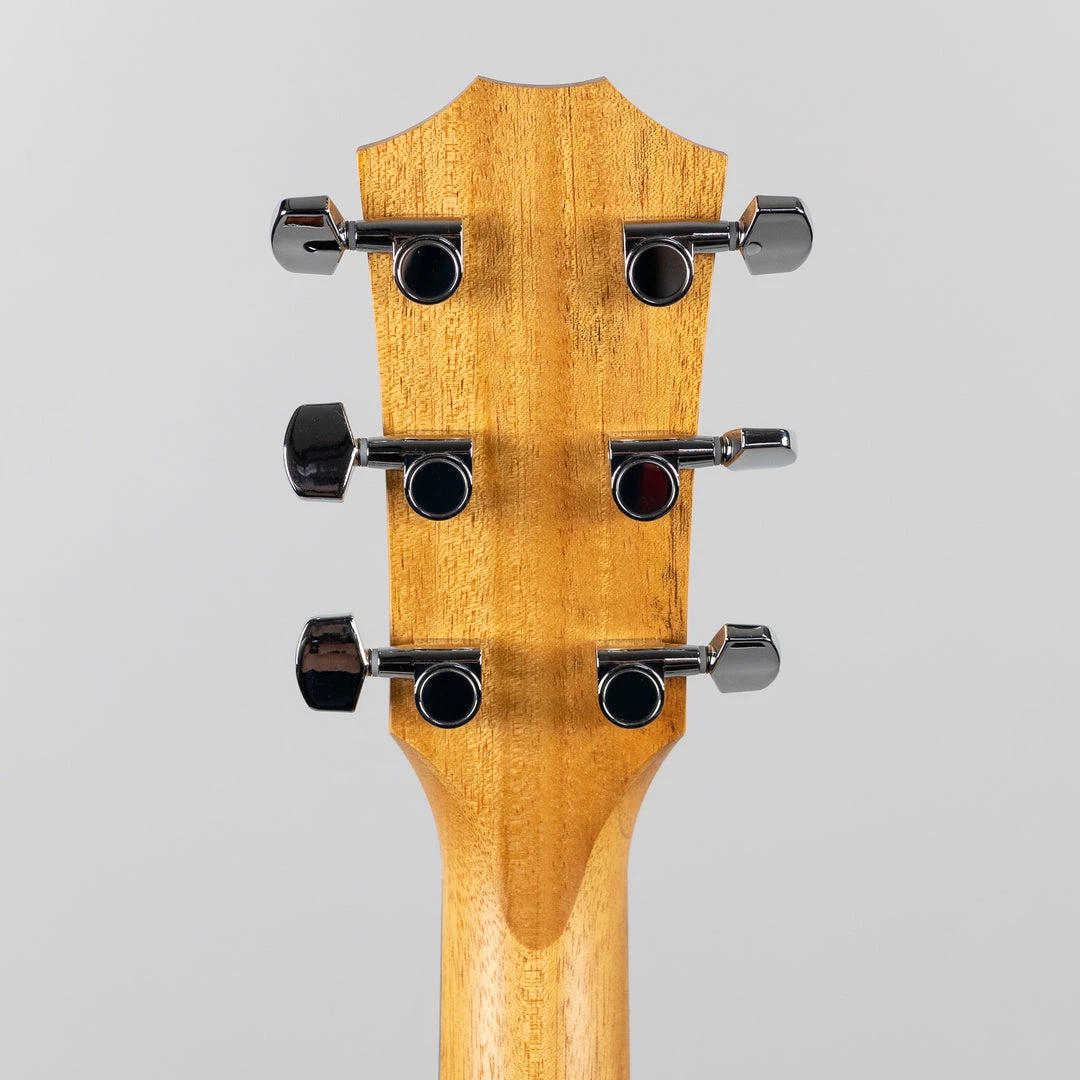 Acoustic Guitars Taylor 214ce-K SB, Shaded Edgeburst (2203272134) 12 Acoustic Guitars Taylor 214ce-K SB, Shaded Edgeburst (2203272134)