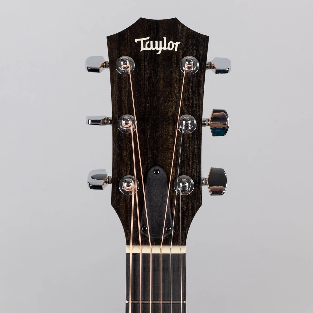 Acoustic Guitars Taylor 214ce-K SB, Shaded Edgeburst (2203272134) 11 Acoustic Guitars Taylor 214ce-K SB, Shaded Edgeburst (2203272134)