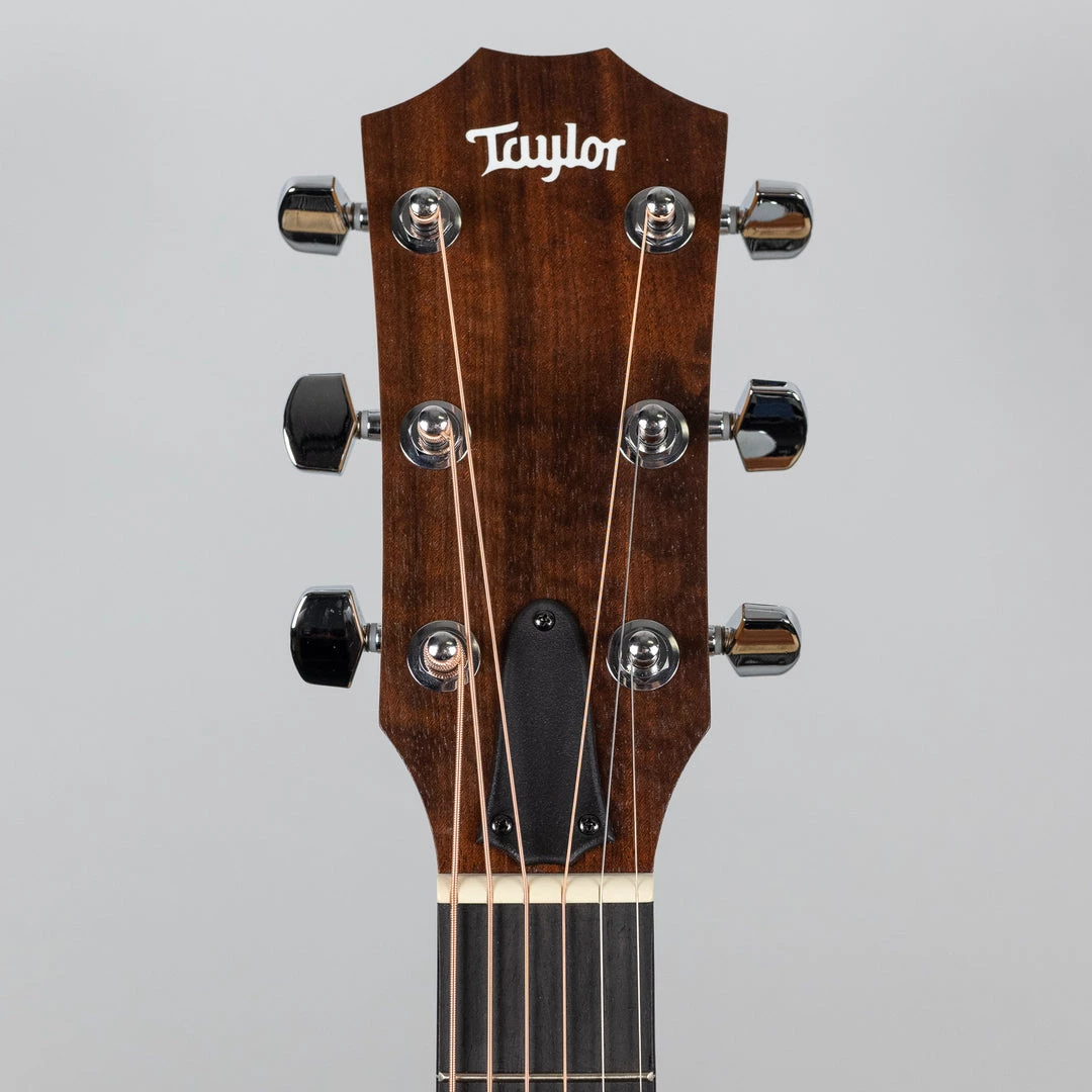Acoustic Guitars Taylor Academy 10e (2204122484) 12 Acoustic Guitars Taylor Academy 10e (2204122484)