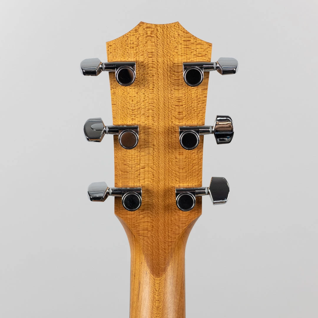 Acoustic Guitars Taylor Academy 10e (2204122484) 13 Acoustic Guitars Taylor Academy 10e (2204122484)