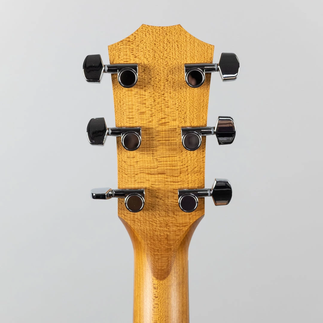 Taylor Academy 10 Acoustic Guitar (2204162296) 12 Taylor Academy 10 Acoustic Guitar (2204162296)