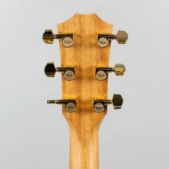 Taylor 214ce DLX (2205132101)