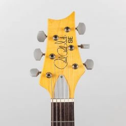 Paul Reed Smith SE Silver Sky In Dragon Fruit (CTID95055)