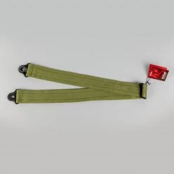 Fretted Accessories D'Addario Auto Lock Nylon Guitar Strap, Moss