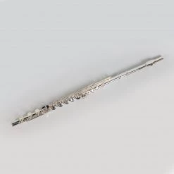 Band Instruments Gemeinhardt 3OSBNG1 "New Generation" Intermediate Flute