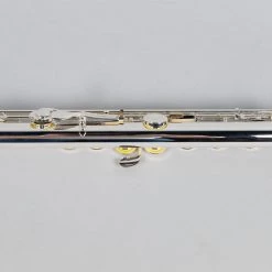 Band Instruments Gemeinhardt 3OSBNG1