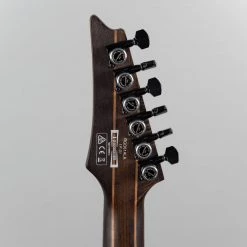 Ibanez RGD61ALA-MTR Axion Label In Midnight Tropical Rainforest