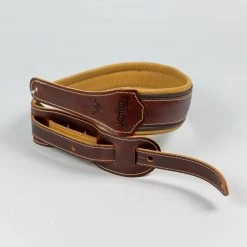 Taylor Ascension Leather 2.5