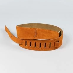 Fretted Accessories Taylor 2.5