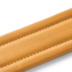 Taylor Ascension Leather 2.5