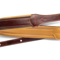 Taylor Ascension Leather 2.5