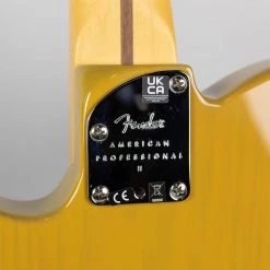 Electric Guitars Fender American Professional II Telecaster In Butterscotch Blonde (US22005491) 17 Electric Guitars Fender American Professional II Telecaster In Butterscotch Blonde (US22005491)