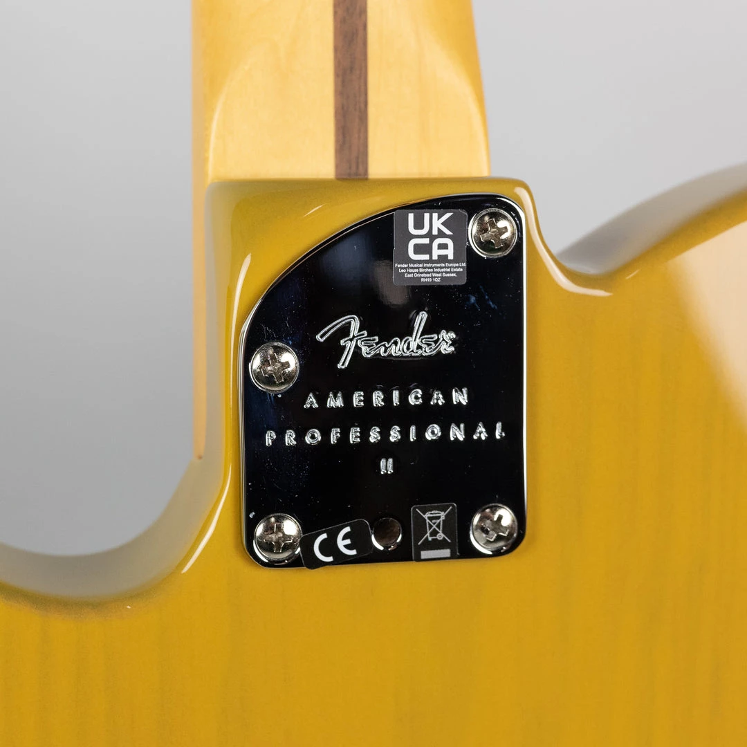Electric Guitars Fender American Professional II Telecaster In Butterscotch Blonde (US22005491) 9 Electric Guitars Fender American Professional II Telecaster In Butterscotch Blonde (US22005491)