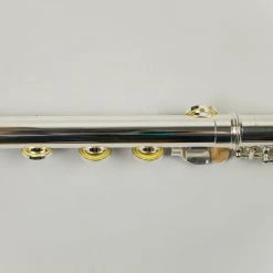 Gemeinhardt 3OSHBNG1 "New Generation" Flute With Gold Lip Plate 16 Gemeinhardt 3OSHBNG1