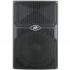 Peavey PVX 12 Non Powered PA Speaker