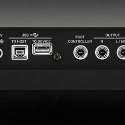 Korg EK-50L Limitless Entertainment Keyboard Keyboards