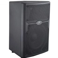 Peavey PVX 10 Non Powered PA Speaker Speakers