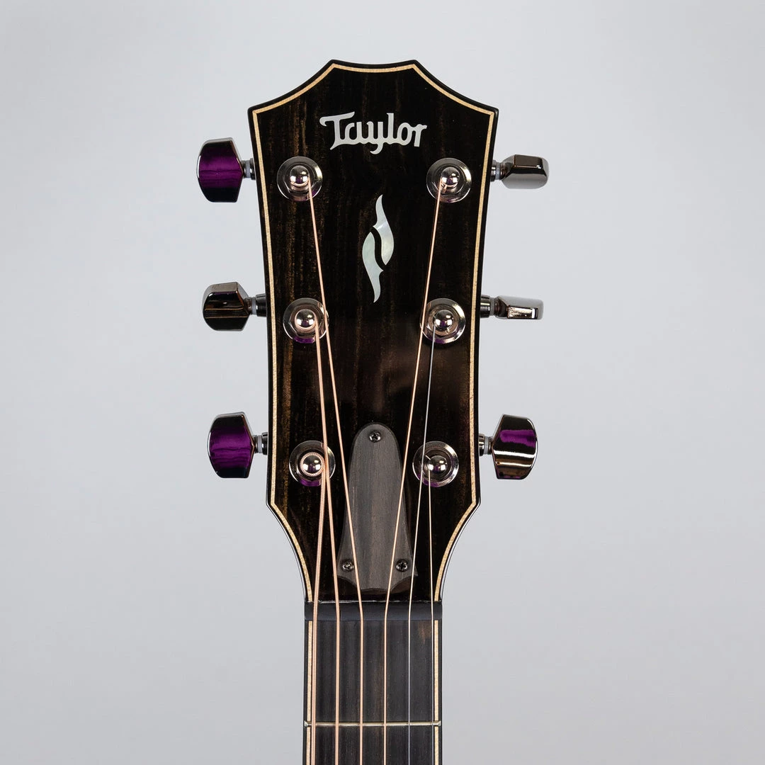 Acoustic Guitars Taylor 814ce V-Class Bracing (2019 Model) 9 Acoustic Guitars Taylor 814ce V-Class Bracing (2019 Model)