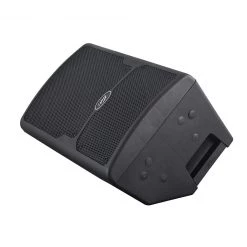 Peavey PVX 10 Non Powered PA Speaker Speakers