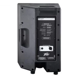 Peavey PVX 10 Non Powered PA Speaker Speakers